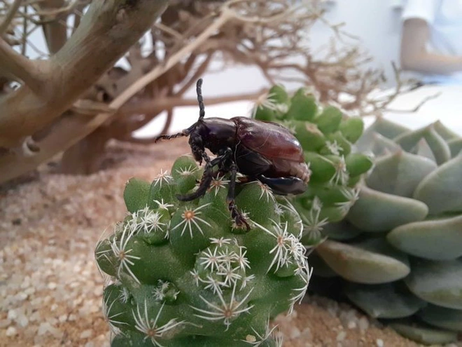 Lợi thế r&otilde; r&agrave;ng của Samsung trong cuộc đua trải nghiệm sử dụng - Ảnh 4.