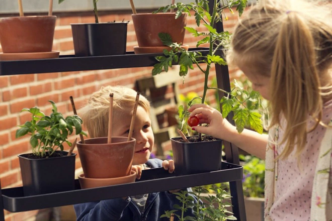 Đ&acirc;y l&agrave; chiếc b&uacute;t ch&igrave; ma thuật, cứ cắm v&agrave;o đất rồi chăm chỉ tưới nước l&agrave; sẽ mọc th&agrave;nh c&acirc;y - Ảnh 4.