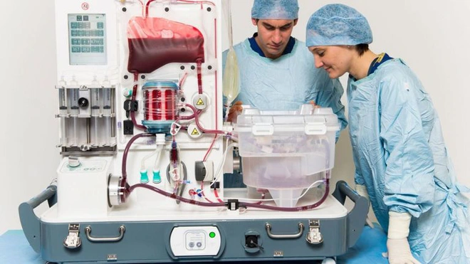 Đột ph&aacute;: Lần đầu ti&ecirc;n, c&aacute;c b&aacute;c sĩ bảo quản được gan gh&eacute;p l&ecirc;n tới 1 tuần b&ecirc;n ngo&agrave;i cơ thể - Ảnh 1.