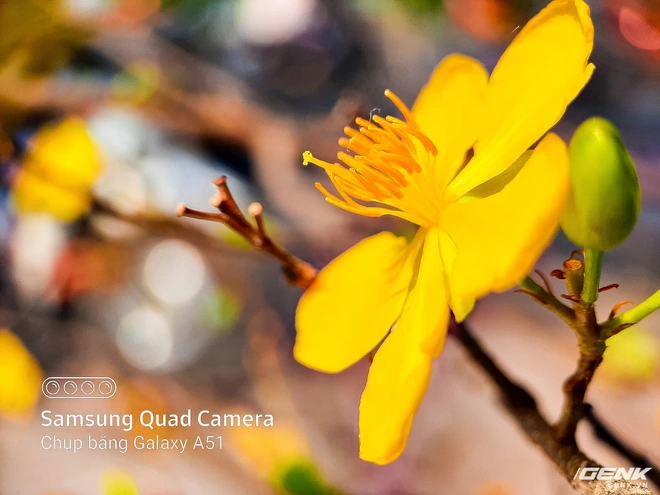 D&agrave;nh cho hội y&ecirc;u hoa, ngắm hoa, chụp h&igrave;nh hoa Tết thế n&agrave;y mới l&agrave; ch&acirc;n &aacute;i s&agrave;nh điệu - Ảnh 5.