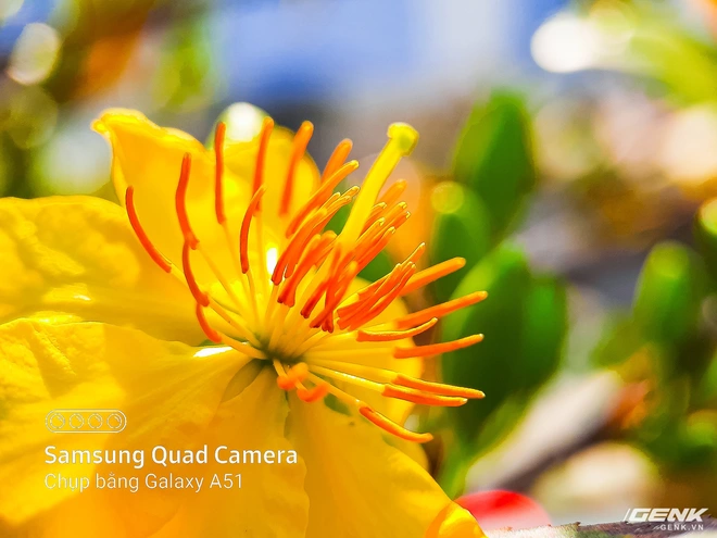 D&agrave;nh cho hội y&ecirc;u hoa, ngắm hoa, chụp h&igrave;nh hoa Tết thế n&agrave;y mới l&agrave; ch&acirc;n &aacute;i s&agrave;nh điệu - Ảnh 4.