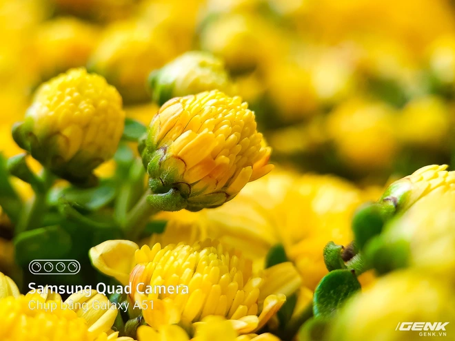 D&agrave;nh cho hội y&ecirc;u hoa, ngắm hoa, chụp h&igrave;nh hoa Tết thế n&agrave;y mới l&agrave; ch&acirc;n &aacute;i s&agrave;nh điệu - Ảnh 6.