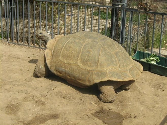 5 lần tai nạn đ&aacute;ng tiếc đến từ việc kh&ocirc;ng thống nhất hệ thống đo lường, l&uacute;c th&igrave; pound l&uacute;c th&igrave; kg, khi th&igrave; m&eacute;t khi th&igrave; feet - Ảnh 2.