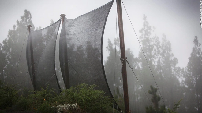 Lưới bắt sương để lấy được nước: c&ocirc;ng nghệ đơn giản c&oacute; thể thay đổi cuộc sống của cả triệu người - Ảnh 1.