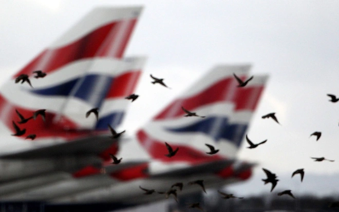 Điều g&igrave; sẽ xảy ra khi những ch&uacute; chim lao v&agrave;o b&ecirc;n trong động cơ m&aacute;y bay? - Ảnh 1.