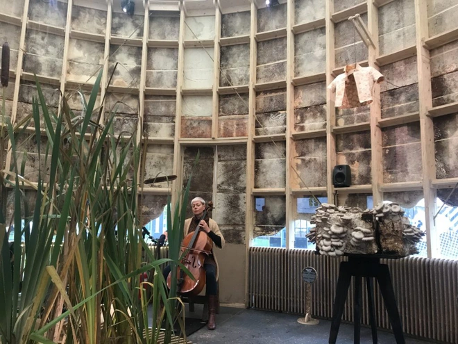 Ng&ocirc;i nh&agrave; phủ nấm th&acirc;n thiện với Tr&aacute;i Đất: nấm c&agrave;ng tươi tốt, n&oacute; c&agrave;ng h&uacute;t th&ecirc;m nhiều CO2 khỏi kh&ocirc;ng kh&iacute; - Ảnh 4.