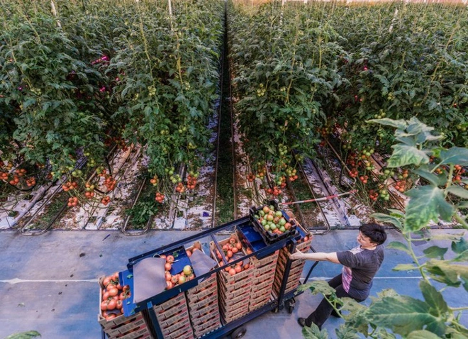 L&agrave;m n&ocirc;ng nghiệp sạch, bền vững l&agrave; ch&igrave;a kh&oacute;a để nu&ocirc;i sống h&agrave;ng tỷ người nhưng kh&ocirc;ng g&acirc;y hại cho h&agrave;nh tinh - Ảnh 3.