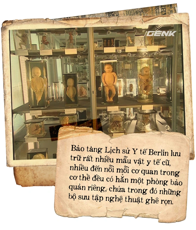 Căn hầm chứa đầy những l&aacute; phổi ở Berlin v&agrave; chiếc k&iacute;nh viễn vọng nh&igrave;n v&agrave;o qu&aacute; khứ - Ảnh 1.