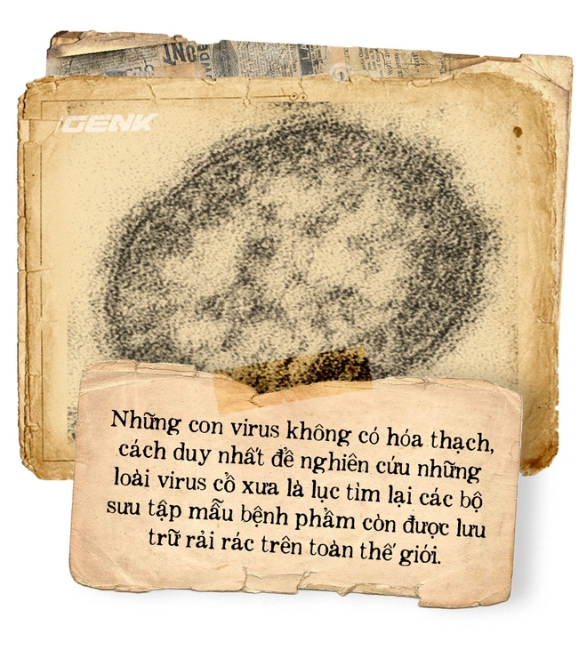 Căn hầm chứa đầy những l&aacute; phổi ở Berlin v&agrave; chiếc k&iacute;nh viễn vọng nh&igrave;n v&agrave;o qu&aacute; khứ - Ảnh 7.