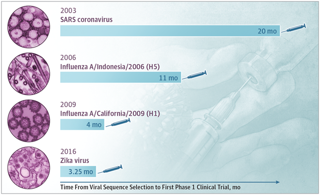 Bao giờ c&aacute;c nh&agrave; khoa học mới điều chế xong vắc-xin cho chủng virus corona mới ở Trung Quốc? - Ảnh 5.