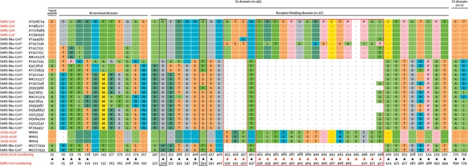 Bạn đang sốt hoặc ho: Hiện chỉ c&oacute; một loại x&eacute;t nghiệm duy nhất gi&uacute;p x&aacute;c định đ&oacute; c&oacute; phải do virus corona hay kh&ocirc;ng - Ảnh 4.