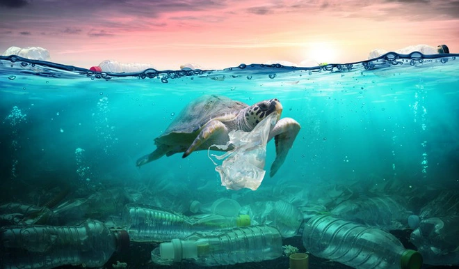5 thứ tuyệt vời c&oacute; thể tạo ra từ r&aacute;c thải nhựa m&agrave; con người h&agrave;ng ng&agrave;y thải ra - Ảnh 1.
