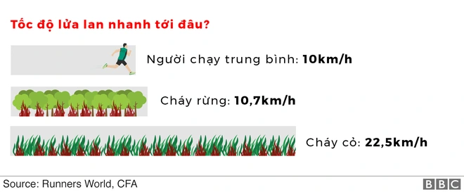 L&yacute; giải trực quan về đ&aacute;m ch&aacute;y khủng khiếp tại &Uacute;c: nhiệt lượng từ đ&acirc;u, tại sao ch&aacute;y rừng lại g&acirc;y b&atilde;o s&eacute;t, người ta c&oacute; chạy tho&aacute;t được ngọn lửa kh&ocirc;ng? - Ảnh 13.