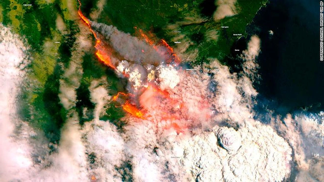 Giải th&iacute;ch nhanh về đại thảm họa ch&aacute;y rừng đang diễn ra tại &Uacute;c nếu bạn lười theo d&otilde;i - Ảnh 3.