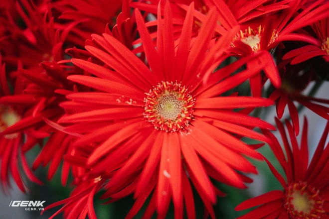 Đ&aacute;nh gi&aacute; ống k&iacute;nh Tamron 35mm v&agrave; 24mm III OSD M1:2: Gi&aacute; rẻ, đa dụng nhưng chưa ho&agrave;n hảo - Ảnh 15.