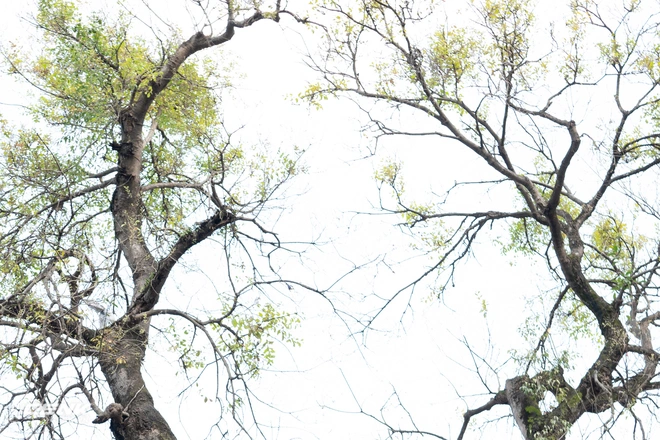 Đ&aacute;nh gi&aacute; ống k&iacute;nh Tamron 35mm v&agrave; 24mm III OSD M1:2: Gi&aacute; rẻ, đa dụng nhưng chưa ho&agrave;n hảo - Ảnh 16.