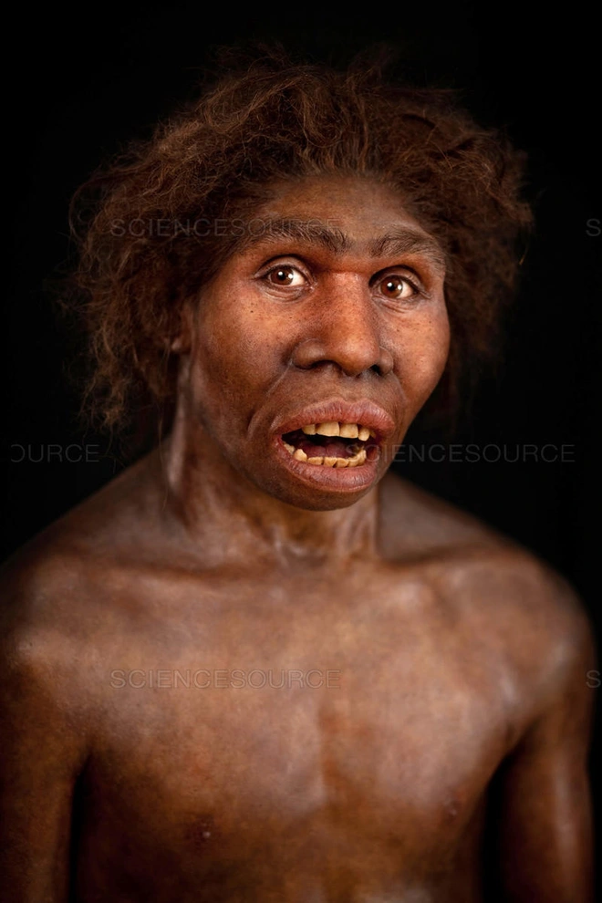 Những người anh em họ bất hạnh của lo&agrave;i người đ&atilde; biến mất trước b&igrave;nh minh của nền văn minh như thế n&agrave;o? - Ảnh 5.