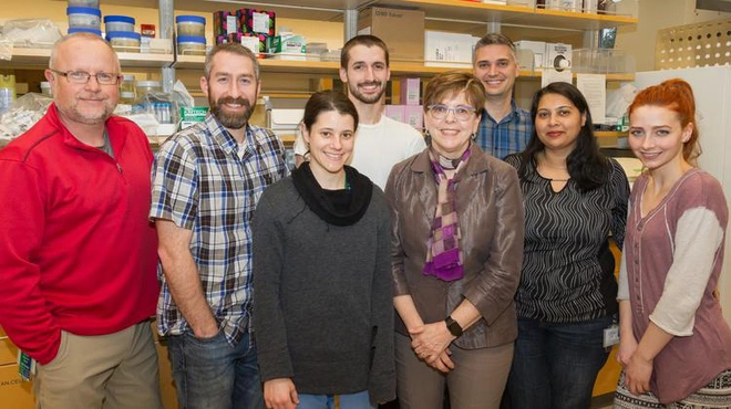 Một liều thuốc duy nhất trong 30 giờ đầu c&oacute; thể ngăn chặn HIV l&acirc;y từ mẹ sang con - Ảnh 3.