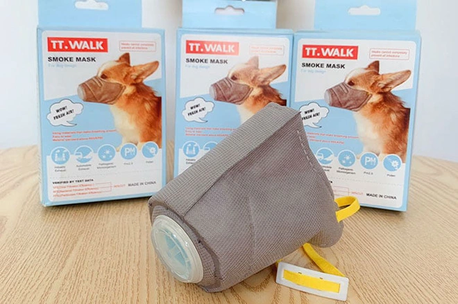 Lo sợ virus corona, người d&acirc;n Trung Quốc đeo khẩu trang cho cả th&uacute; nu&ocirc;i - Ảnh 3.