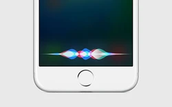 Cựu nhân viên Apple: Siri bị ra mắt quá sớm, dẫn đến các tranh cãi trong việc phát triển, đội ngũ Siri không hề biết về HomePod cho đến năm 2015