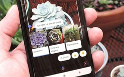 Google bổ sung tính năng độc quyền Google Lens cho các thiết bị chạy Android khác, và đây là cách sử dụng