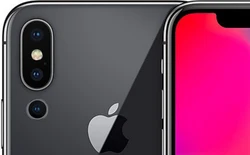iPhone 2019 sẽ có 3 camera sau giống như Huawei P20 Pro