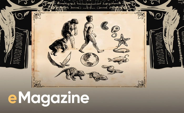 Homo sedentarius: Lược sử "loài ngồi"