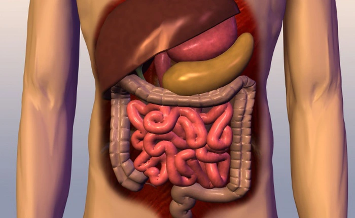 Những thứ kinh dị vẫn tồn tại hàng ngày trong cơ thể con người