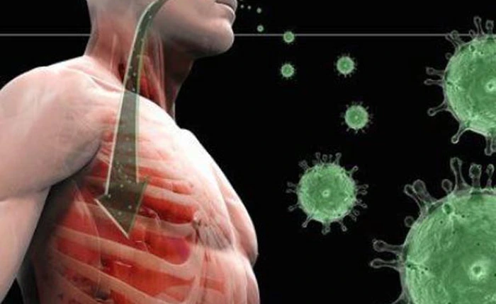 Nhen nhóm nguy cơ bùng phát một đại dịch toàn cầu mới?