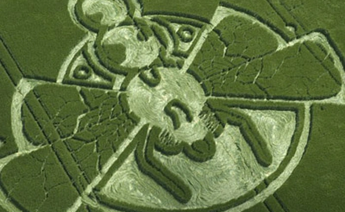 Bí ẩn những vòng tròn do người ngoài hành tinh tạo ra (Phần 2)