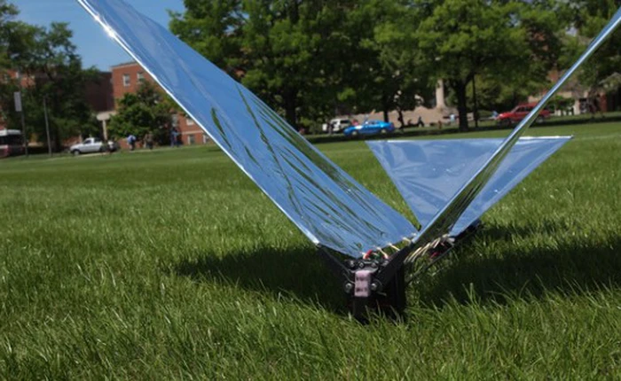 Raven - chú rô-bốt với đôi cánh của loài chim