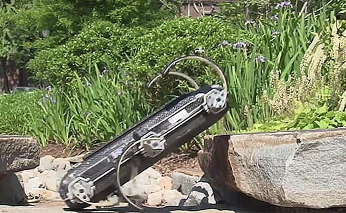 RHex - Robot nhảy, chạy tự do siêu thông minh