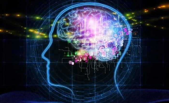 Internet đang giết chết sự tiến bộ?