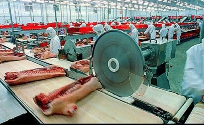 Hình ảnh và video đáng sợ về "độ tham ăn" của con người