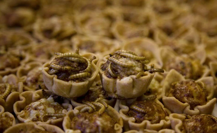 Rợn người với những món ăn kinh dị nhất trên thế giới