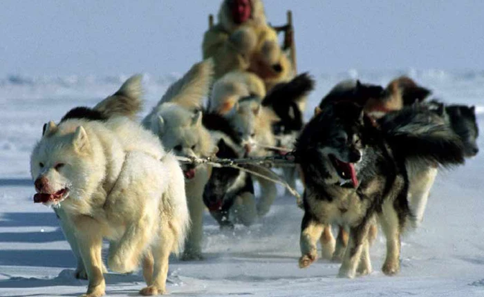 Cuộc sống người Eskimo nơi lạnh giá nhất hành tinh