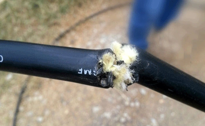 Cắt cáp, “khoảng tối” của doanh nghiệp công nghệ Việt