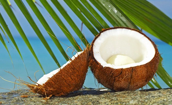 Tìm hiểu một số công dụng thú vị từ cây dừa