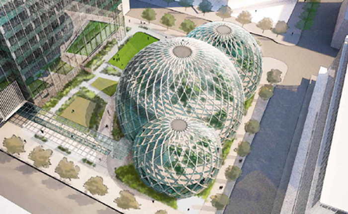 Phác thảo trụ sở mới đẹp như mơ của Amazon