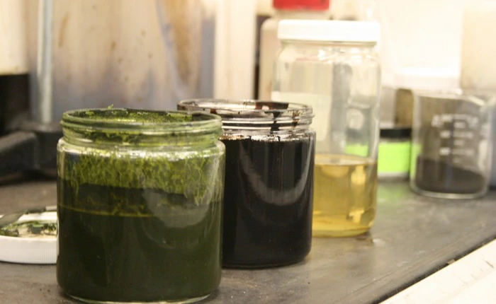 Thiên nhiên mất hàng triệu năm để biến tảo thành dầu thô, con người chỉ cần vài phút