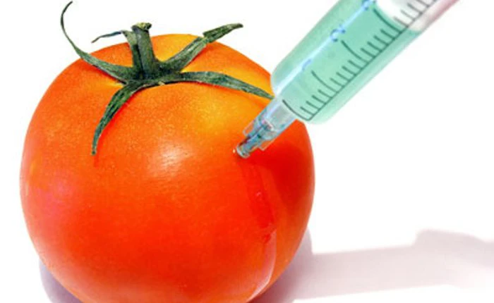 Đôi nét về thực phẩm biến đổi gen