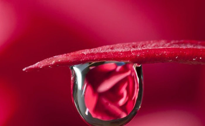 “Băng dính nước” được chế tạo từ loại vật liệu nano mới