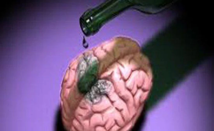 Những sự thật về bộ não ít người biết tới (phần 2)