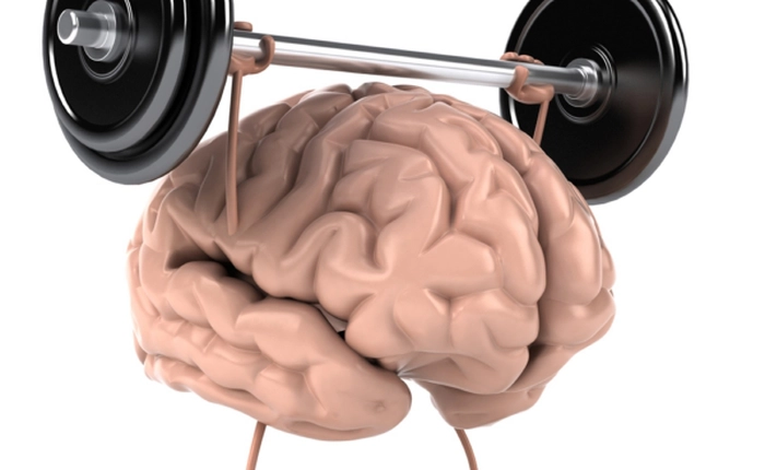 Những sự thật về bộ não ít người biết tới (phần 1)