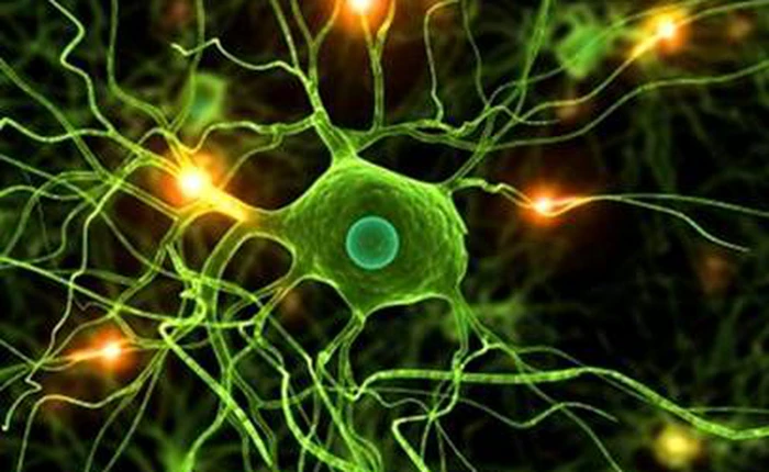 Vi khuẩn có khả năng tạo ra điện năng