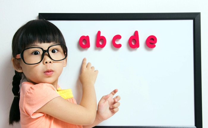 Lần đầu tiên Việt Nam ra mắt công cụ kiểm tra chính tả trên internet