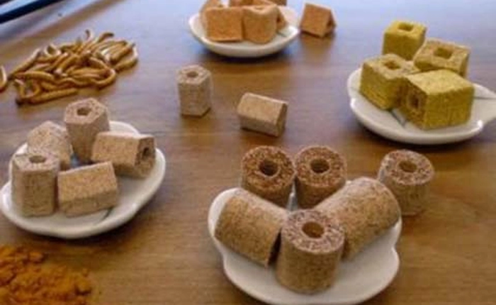 Máy in 3D tạo ra pizza cho các nhà du hành vũ trụ