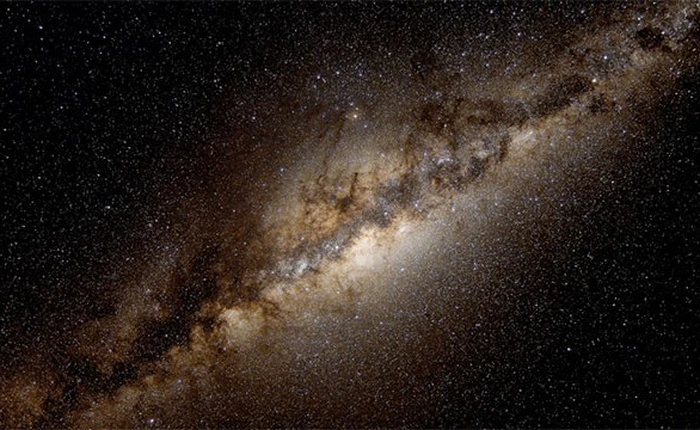 [Fun fact] 20 sự thật điên rồ nhất mà bạn từng được nghe