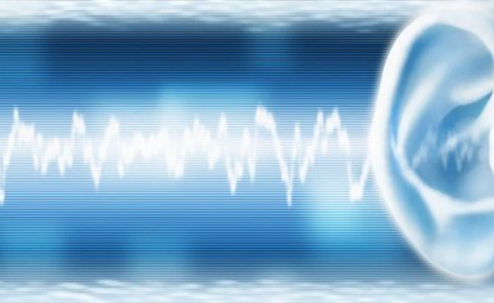 Thiết bị cho phép âm thanh chỉ truyền đi theo một chiều