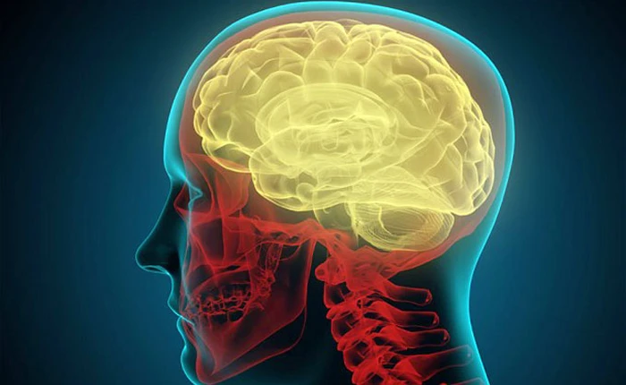 Siêu máy tính mất tới 40 phút để mô phỏng 1 giây của não người